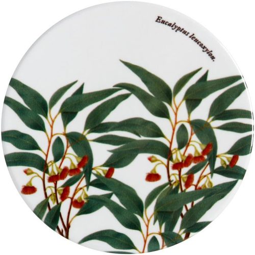 Royal Botanic Gardens Australian Botanics Ceramic Round Coaster 9.5cm Flowering Gum