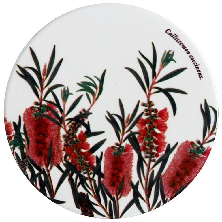 Royal Botanic Gardens Australian Botanics Ceramic Round Coaster 9.5cm Bottlebrush
